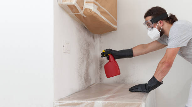 Professional Crawl Space Mold Removal technician working in Rockton, IL